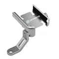 Mirror type Silver