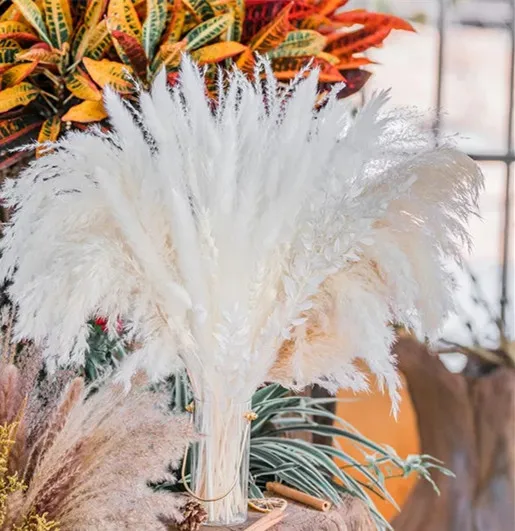 dried flower bouquet 80PCS Natural Dried Pampas Grass Bouquet,Boho Home Decor Bouquet, Phragmites Dried Flowers,Bouquet for Wedding Decor tree outdoor artificial flora artificial & dried flora Artificial & Dried Flowers