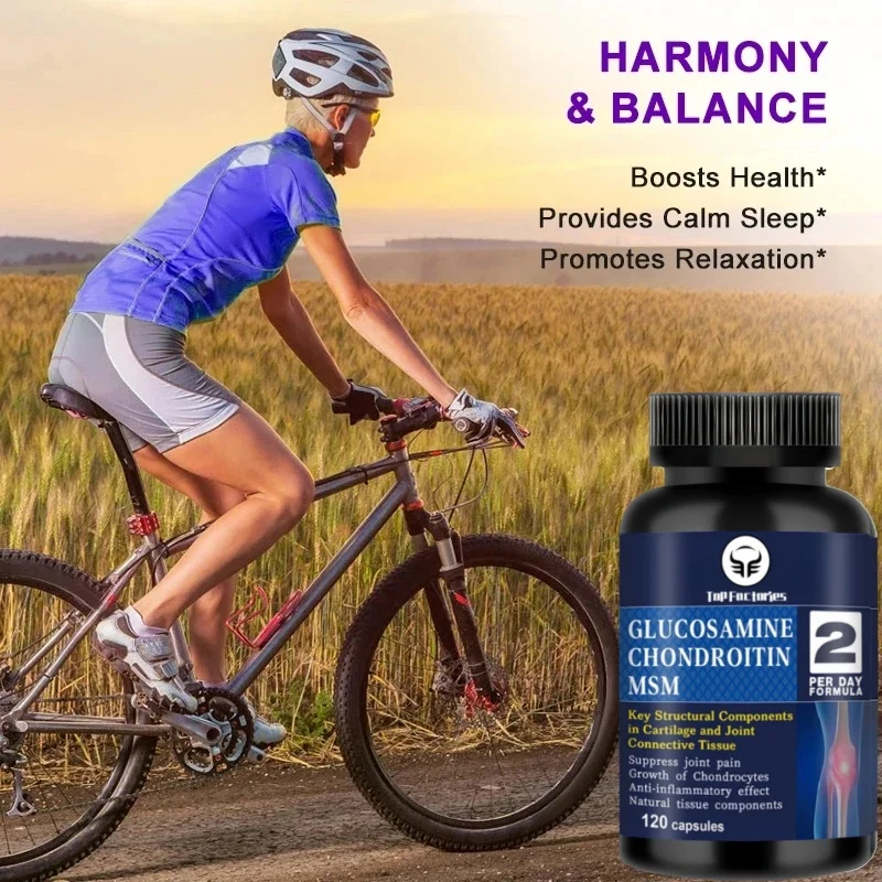 Top Factories Glucosamine Chondroitin MSM 120 Capsules for Joint Knee Immune Support NonGMO GlutenFree