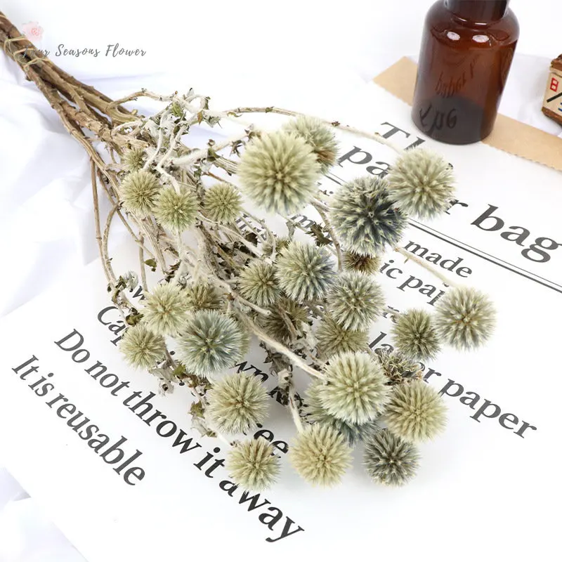 Dried Flowers Blue Thorn Celery Natural Preserved Flowers Nordic Home Decor  Bohemian Chic Decoration Garden Accessories Ornament - AliExpress