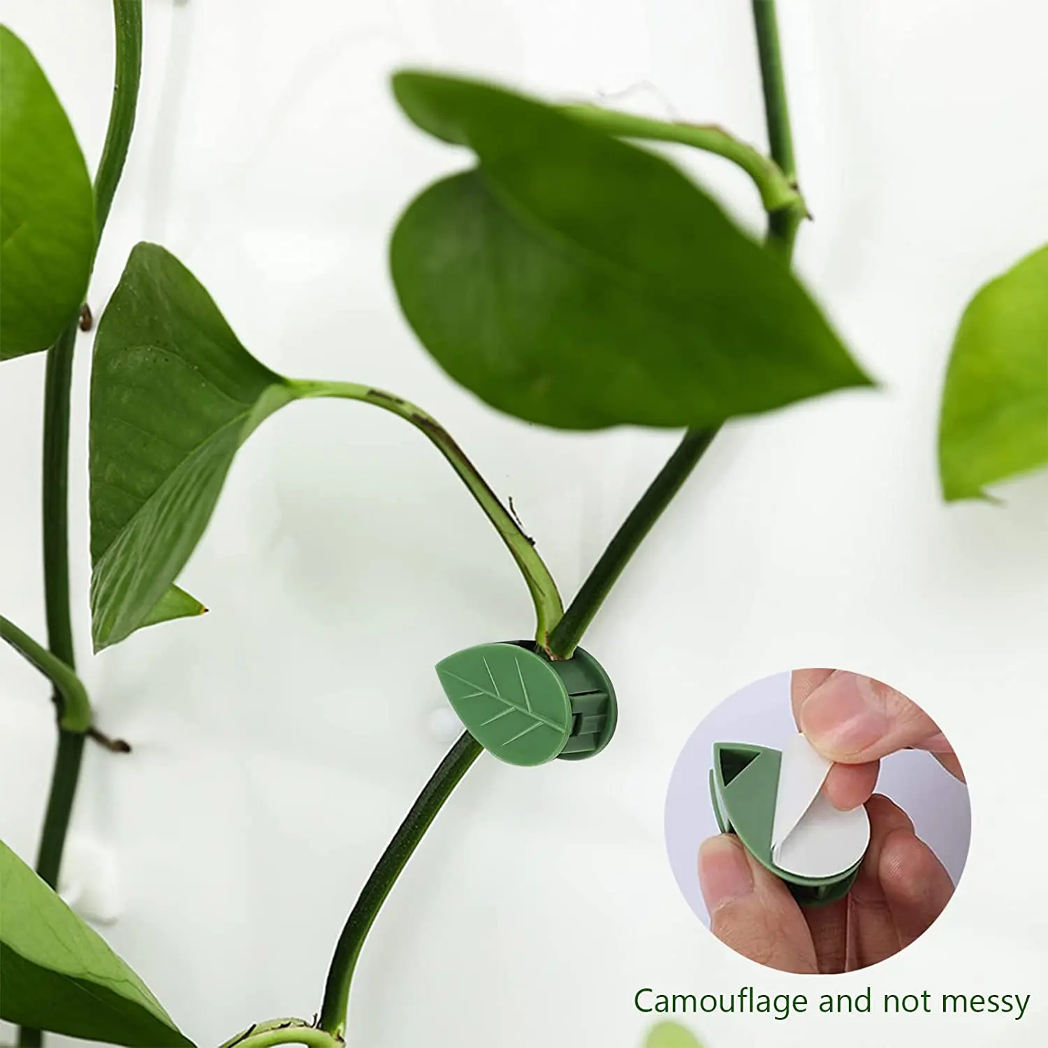 10Pcs 식물 등반 벽 고정 장치 클립 접착제 보이지 않는 덩굴 후크 지원 정원 벽 해결사 와이어 고정 스냅 정원 와이어