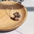 Pig 5