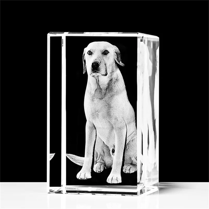 

Personalized Dog Memorial Gifts with Your Own Photo for Dog Lovers 3D Laser Engraved Picture Frame Pet Owners Memory of Dog Gift