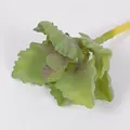 1Pcs-28