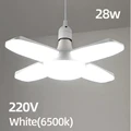Cold White 220V