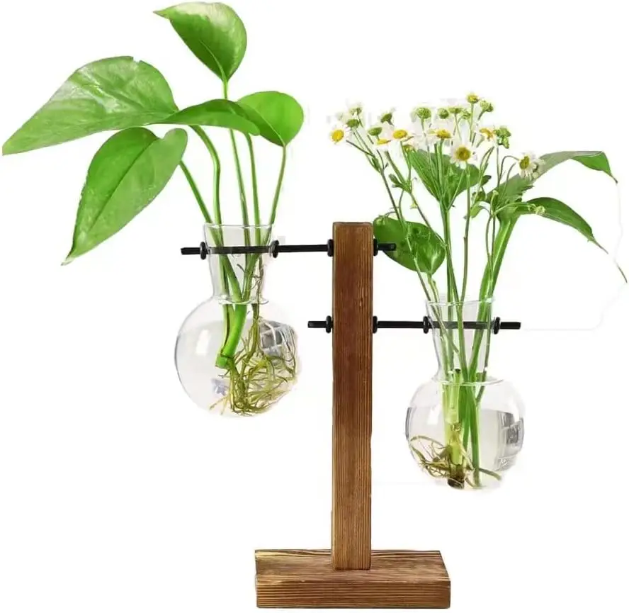 Terrarium Hydroponic Plant Vases