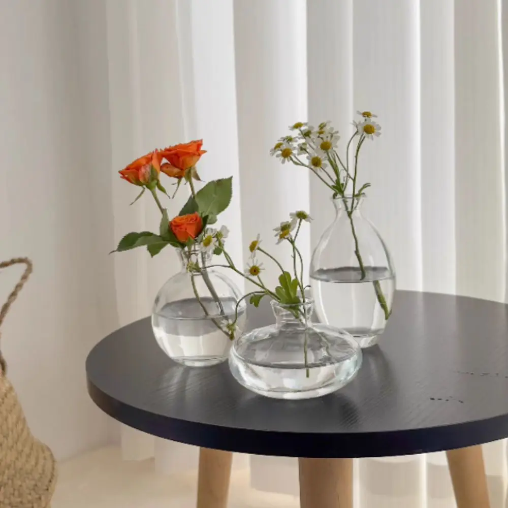 Elegant Transparent Glass Flower Vase