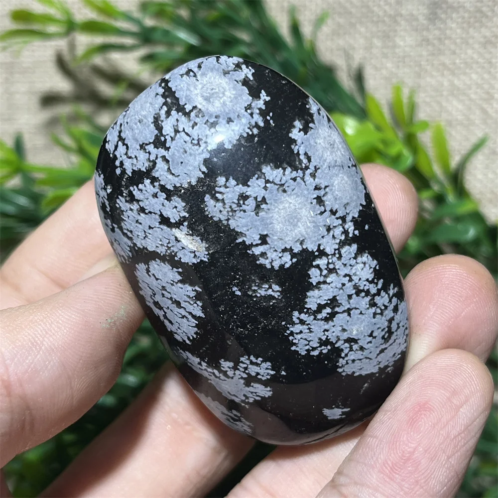 Natural Crystal Snowflake Black Obsidian Palm  Stone Crystal  Reiki High Quality Beauty Healing Quartz Minerals Home Decoration 5