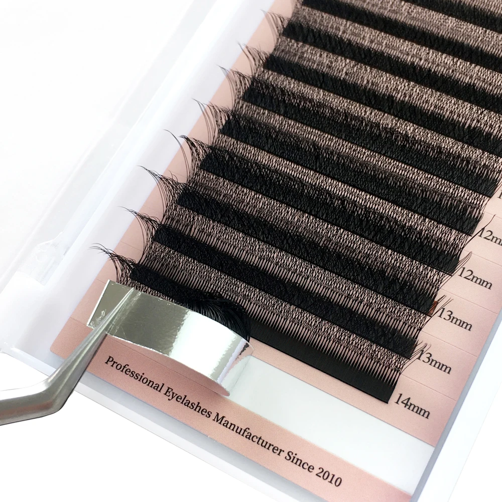 Eyelash Extensions Goddess 4D W Shape Lashes Super Soft Premade Volume Fans Natural Light Individual Lashes