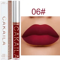 1PC Velvet Matte Lipstick Lip Gloss Light Red Liquid Lip Tint Cream Pigment Long Lasting Silky Texture Lips Women’s Cosmetics