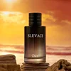 Flirting Pheromone Wild Perfume for Man Spray Long Lasting Irresistible Floral Fruity Light Fragrance Gentleman Portable Perfume