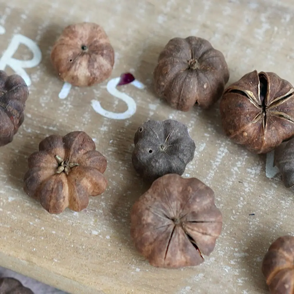 Dried Vegetables Mini Natural Halloween Pumpkins 15pcs vegetable ornaments table decoration artificial pumpkin decoration