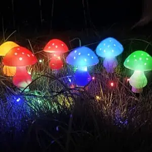 solar lights