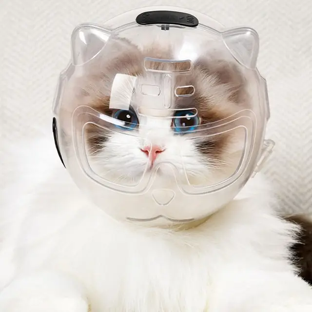 Transparent Breathable Cat Muzzle Anti-Licking Anti-Bite Cat Muzzle Protective Space Hood Anti Scratch Cat Grooming Accessories 2