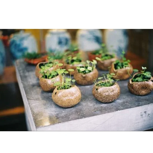 1-10Rolls Fujicolor 100 Color Film Fujifilm ISO100 For 135 Format Camera Kodak ISO100 36 Exposure/Roll（Expiration date: 2022.04)