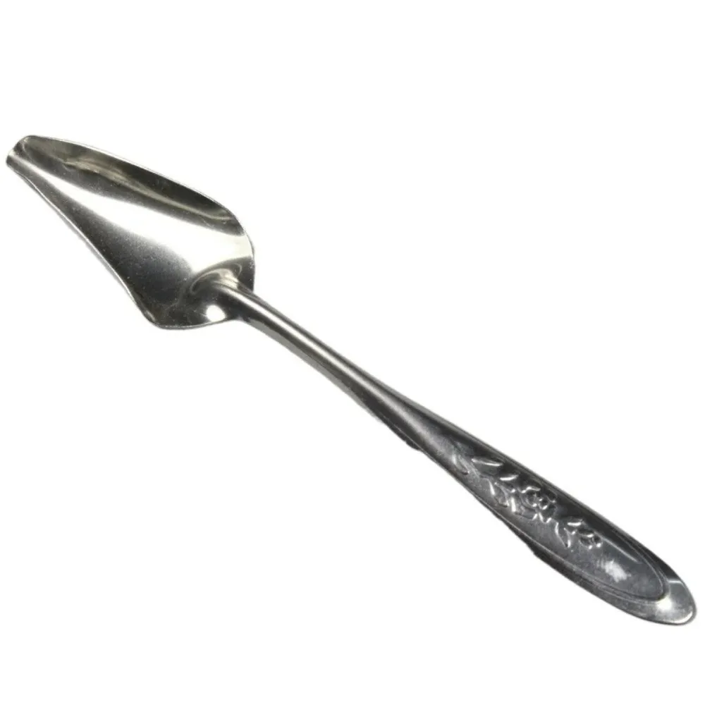 4.7" Bird Parrot Stainless Steel Metal Feeding Spoon Parrot Feeding Scoops Hand Spoons for Metal Bird Care Tool