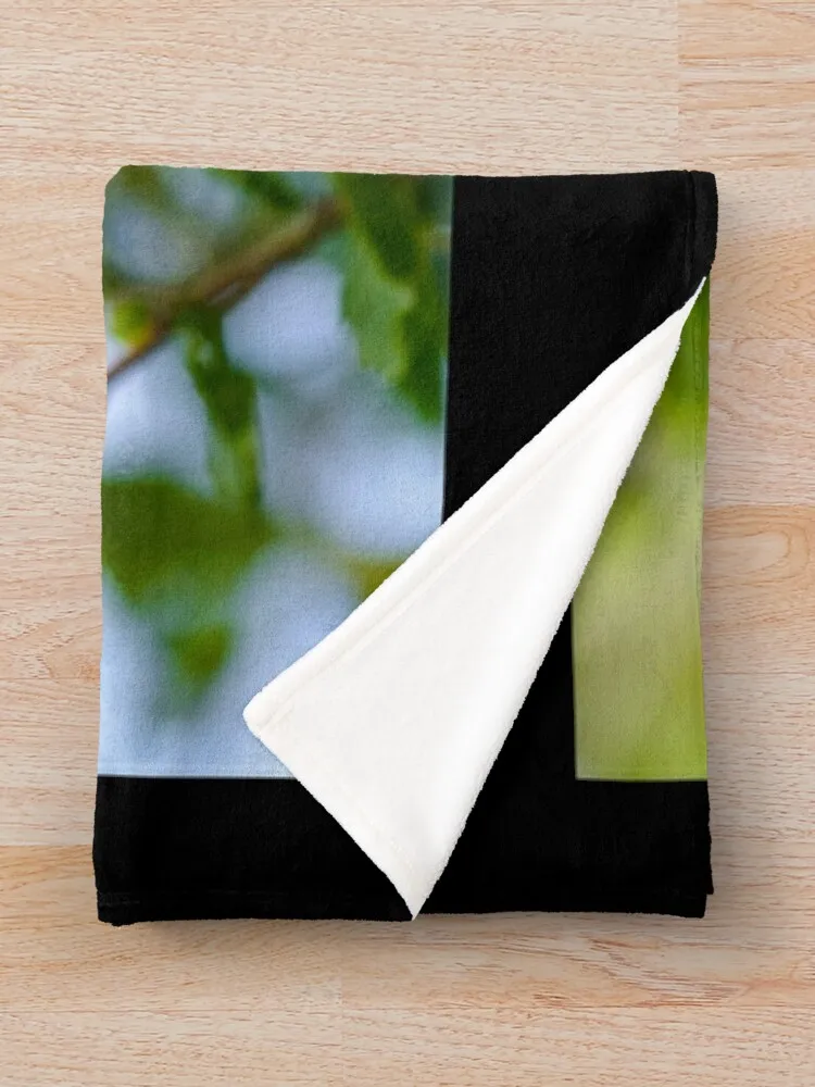 �����Ͽ� ������ ����Ŀ�� �� ������ ���, ���ſ� ���, �̺� ���, �ʴ��� ������ ���