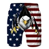 Full Print Pineapple Graphic Beach Shorts For Men Quick Dry Casual Plus Size Short Pants Men's Swim Trunks Ropa De Hombre 5