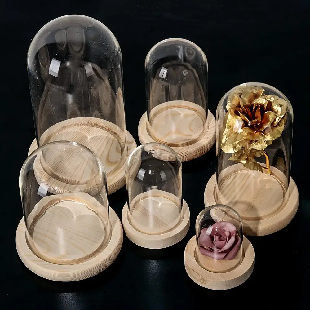 Cubierta De Cristal De Flores Preservadas, Cubierta De M | Cuotas Sin