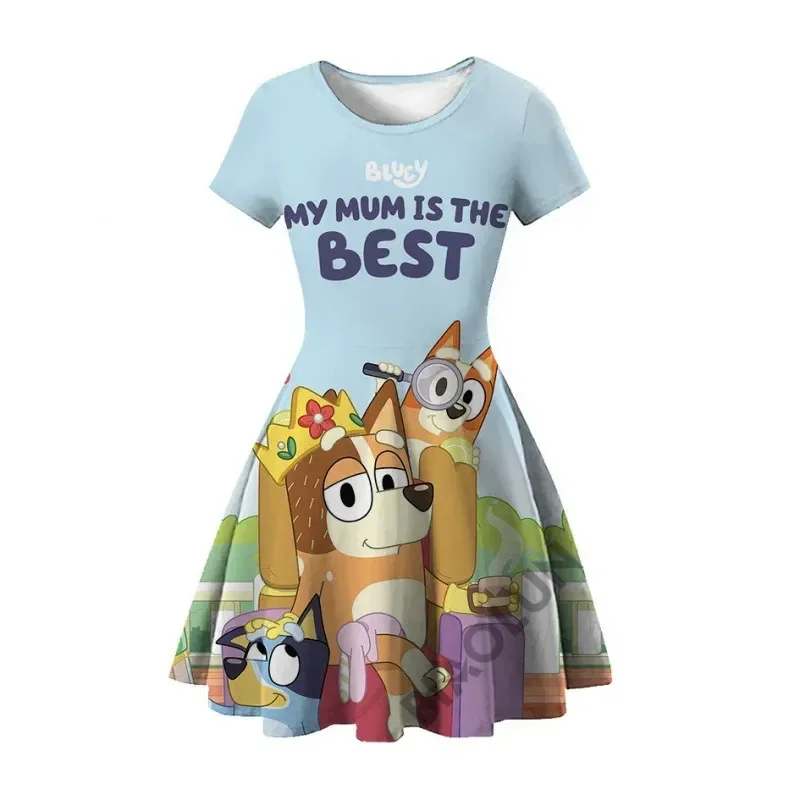 100cm-160cm New Bluey Family 3d Printed Summer Dress Children's Wear Brui Bingo Dog Printed Princess Dress Gifts For Girls images - 6