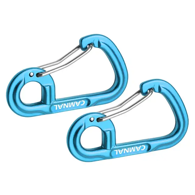 Carabiner Keychain Set 6