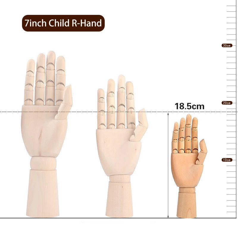 18.5CM Right