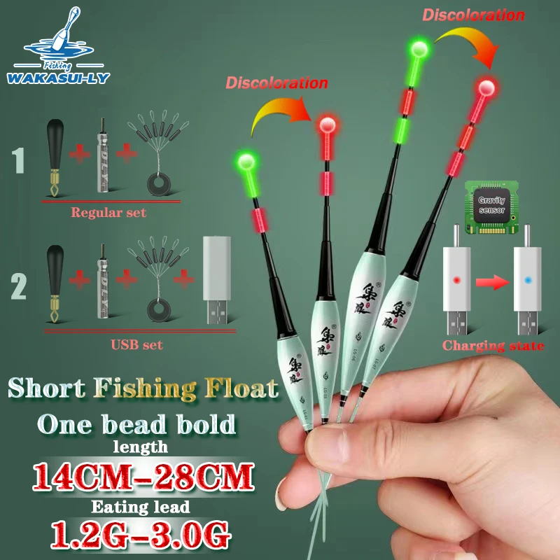 LED Angelschwimmer Mit Bisserkennung - Elektronischer Nachtschwimmer Für Süß- & Salzwasser