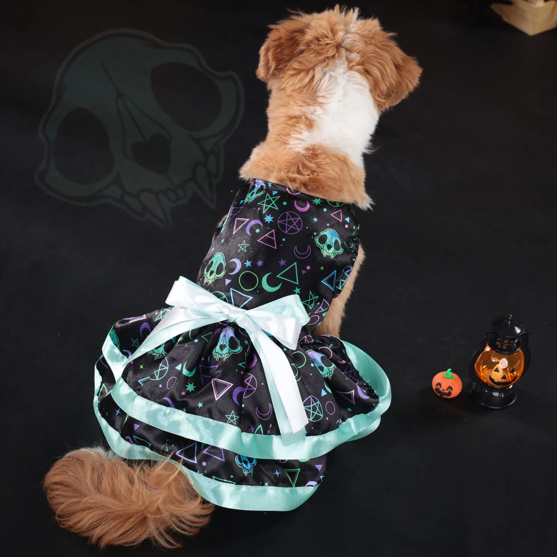 Robe Colorée Citrouille pour Chiens - 2025 - Doglovedesign : Vêtement et accessoires pour chiens