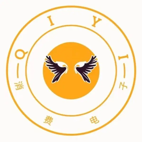 Qiyi Consumer Electronics Store