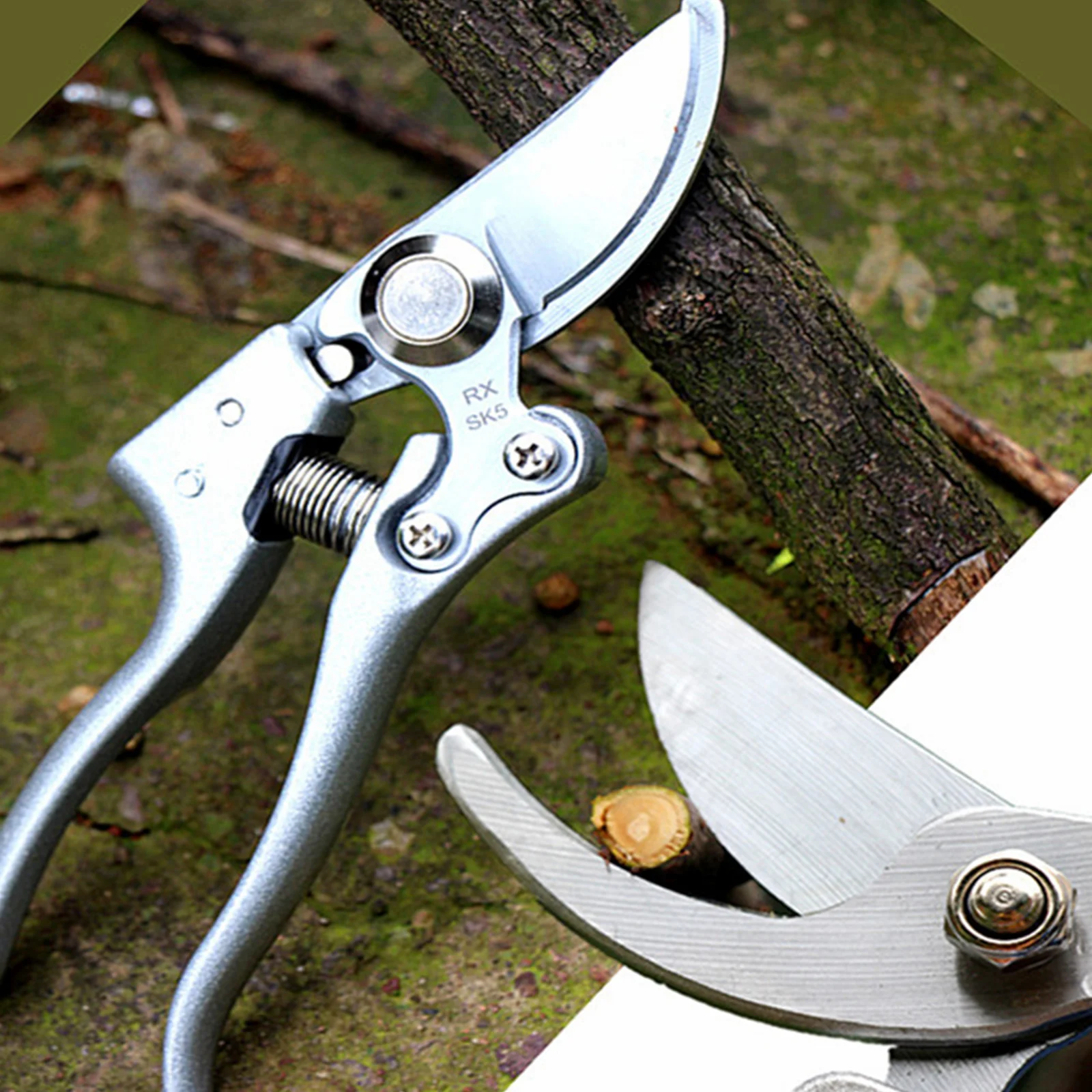 21cmGardenScissorOrchardBranchShearGardeningToolsGardenPruning