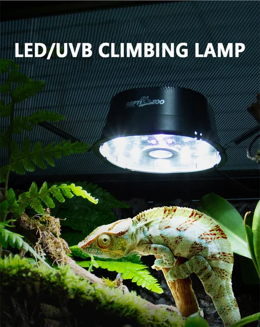 Reptile LED/UVB Lamp 2 Mode Switching Lizard Turtle Calcium Supplement Heating Light Amphibians Breeding Box Lighting Supplies 5