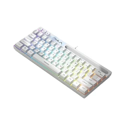 RGB Backlit 61 - Key Compact Mechanical Touch - Feel Gaming Keyboard (White - Single  Effect)