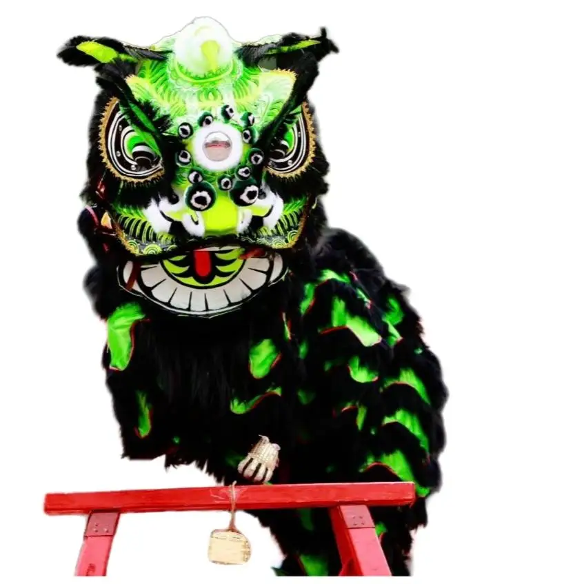 Traditional Southern Lion, Awakening Lion, Festive Performance, Martial Lion.