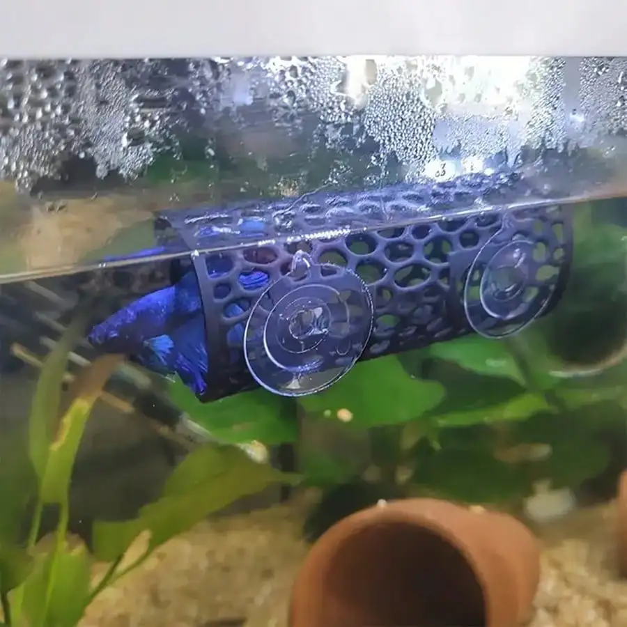 Aquarium-Fischversteck, schwarzes Hohlrohr mit Saugnapf für Betta und kleine Aquarium-Dekoration, sicherer Schutz – Detail 7
