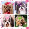 50PCS Pet Hair Accessories Lace Dog Bows With Rubber Bands Handmade Cute Cat Bows Yorkshire Puppy Bowknots Pet Supplies For Dogs 6