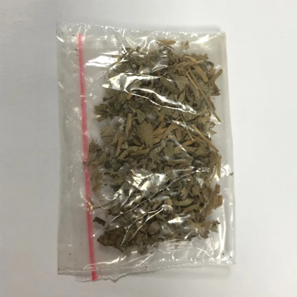 Catnip
