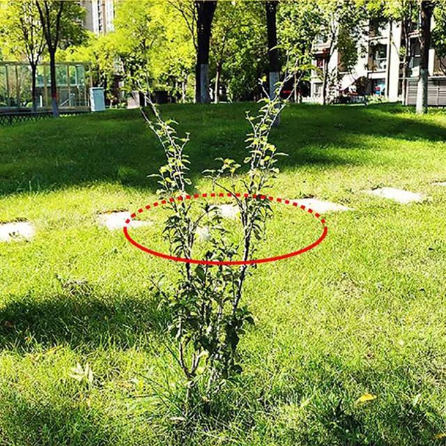 Új Zöld Meleg Növényi Burkolat Fa Cserje Fagyos Téli Védelmi Táska Dzseki Udvar Kerti Fagy Takaró Növény - Image 6