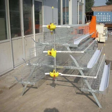  3 types of layer chicken cages for poultry 