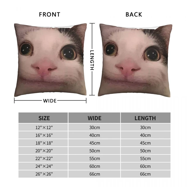 Polite Cat Meme | Photographic Print