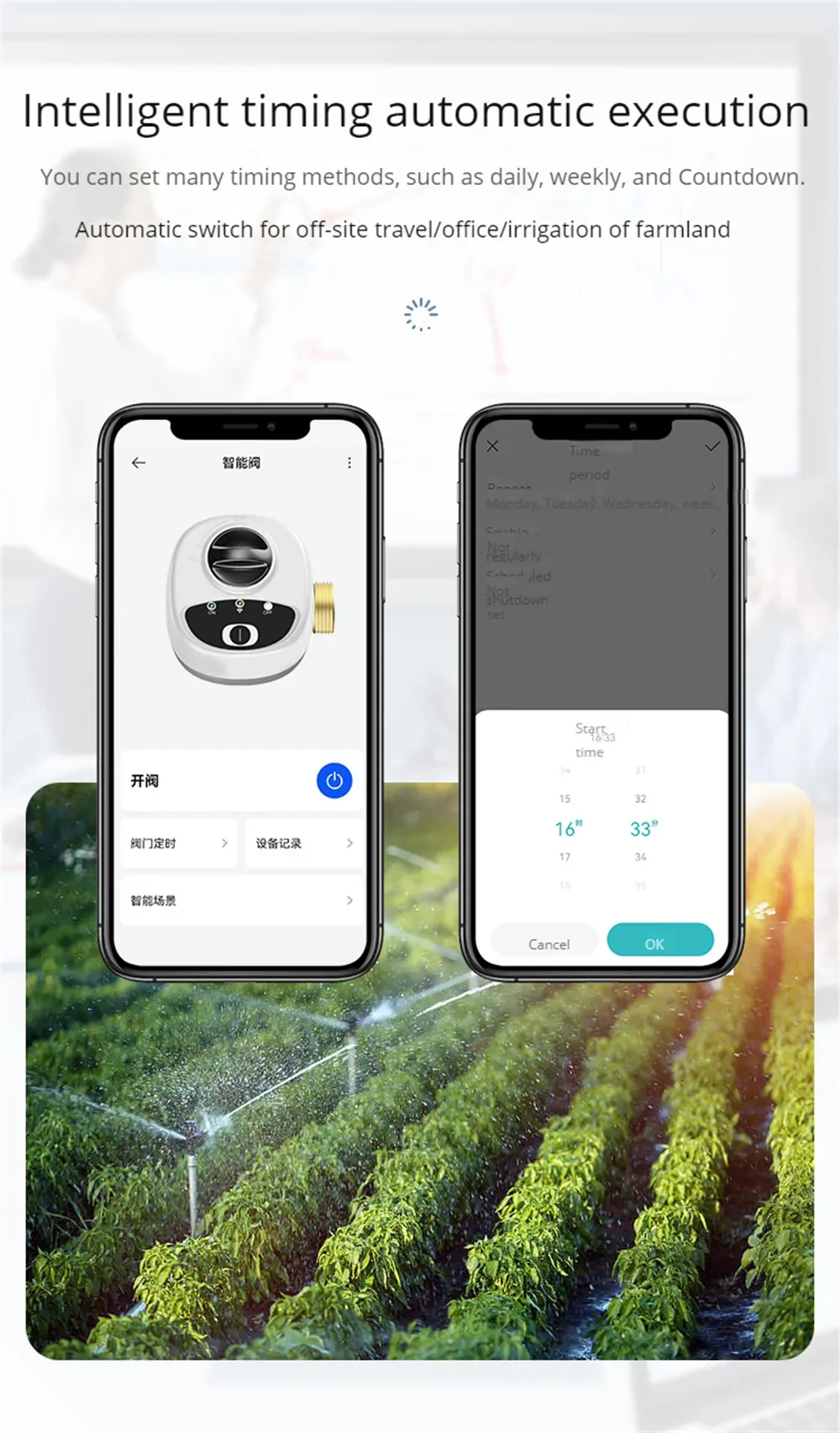 Home e Garden