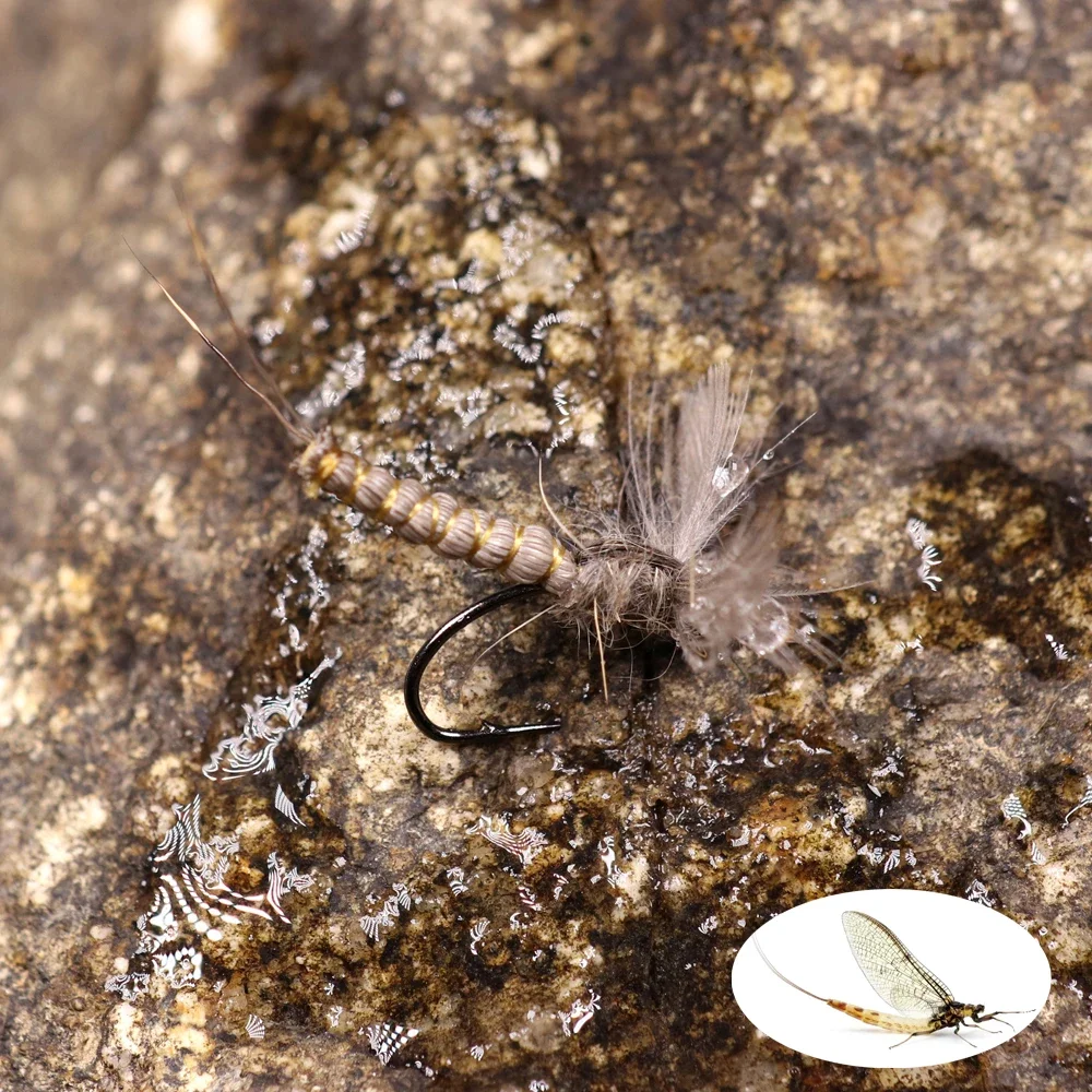 Фото WIFREO 6 шт. #10 #12 #14 CDC перо крыло Mayfly искусственное тело сухая мушка Рокки река искусственная приманка №5