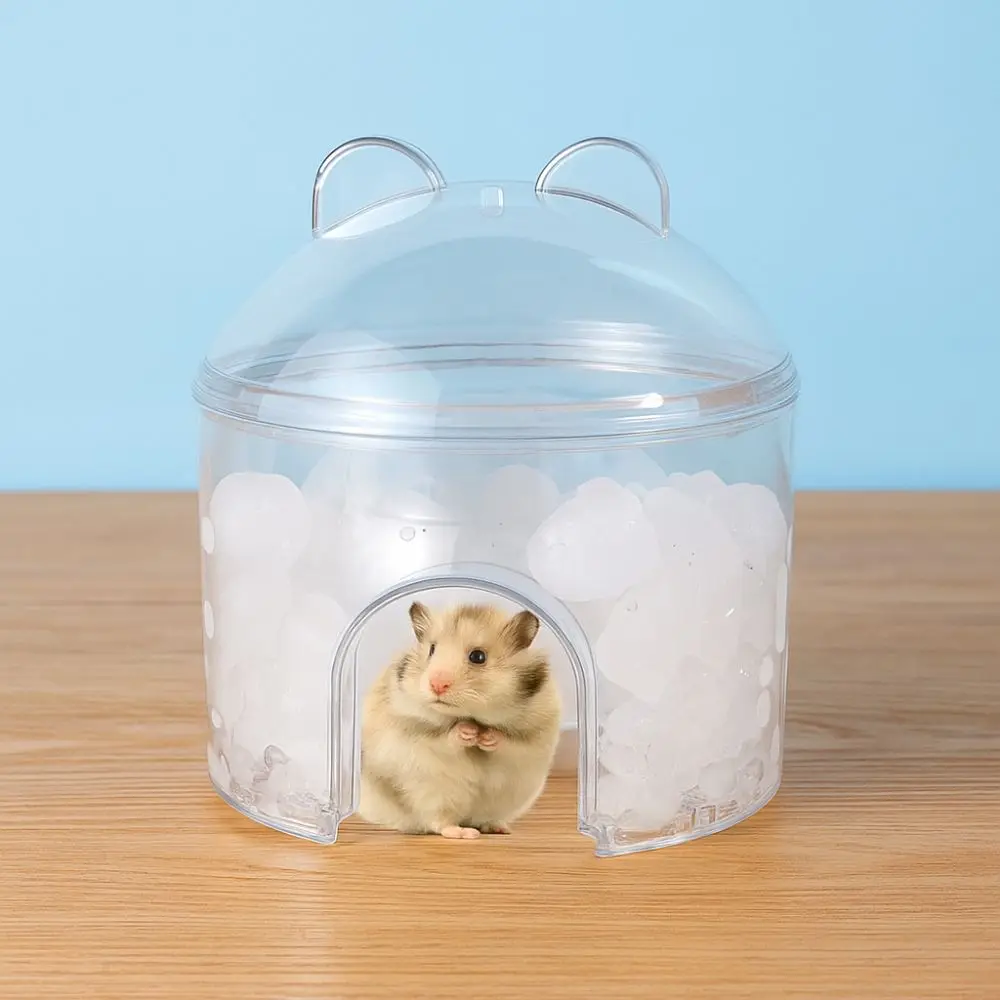Transparent Hamster Cooling House & Hollowed-Out Habitat Sabf7c4b675064b11a6456226209cd963R