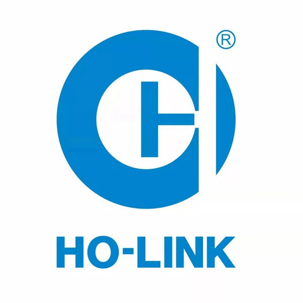 Ho-link Technology Store