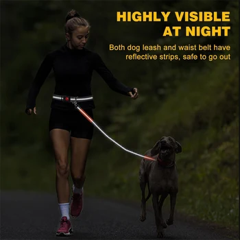 Hands Free Dog Leash 5