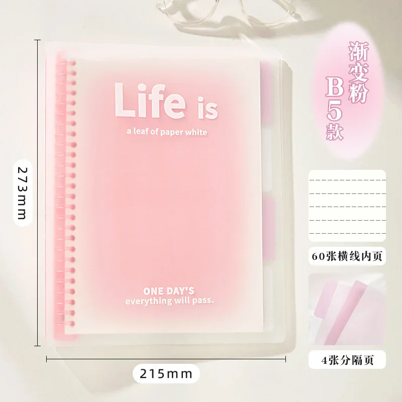 B5 PINK