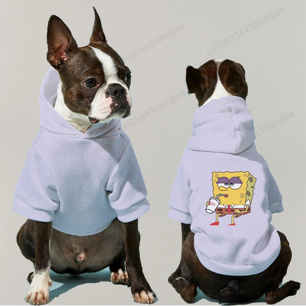 

Pullover Cats Clothing Trendy Puppy Hoodie for Dogs Hooded Dog Hoodie Minimalist Clothes for Pets Apparels Apparel Pug Winter