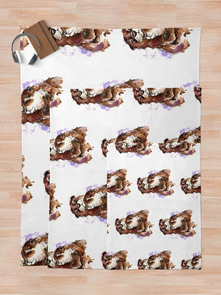 ���� ��äȭ ������ ���, ķ�� ���� ���