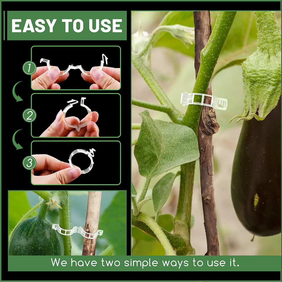 Clip per piante da giardino riutilizzabili, piccole e grandi fermagli per piante di vite, verdure, fiori da coltivare in posizione verticale, ideali per fissare piante al traliccio (confezione da 20