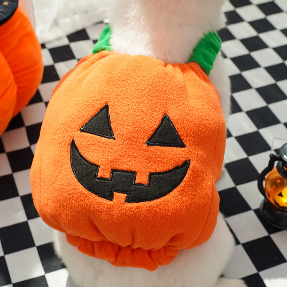 Pumpkin Pet Halloween Costume 1
