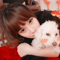 pet life home Store